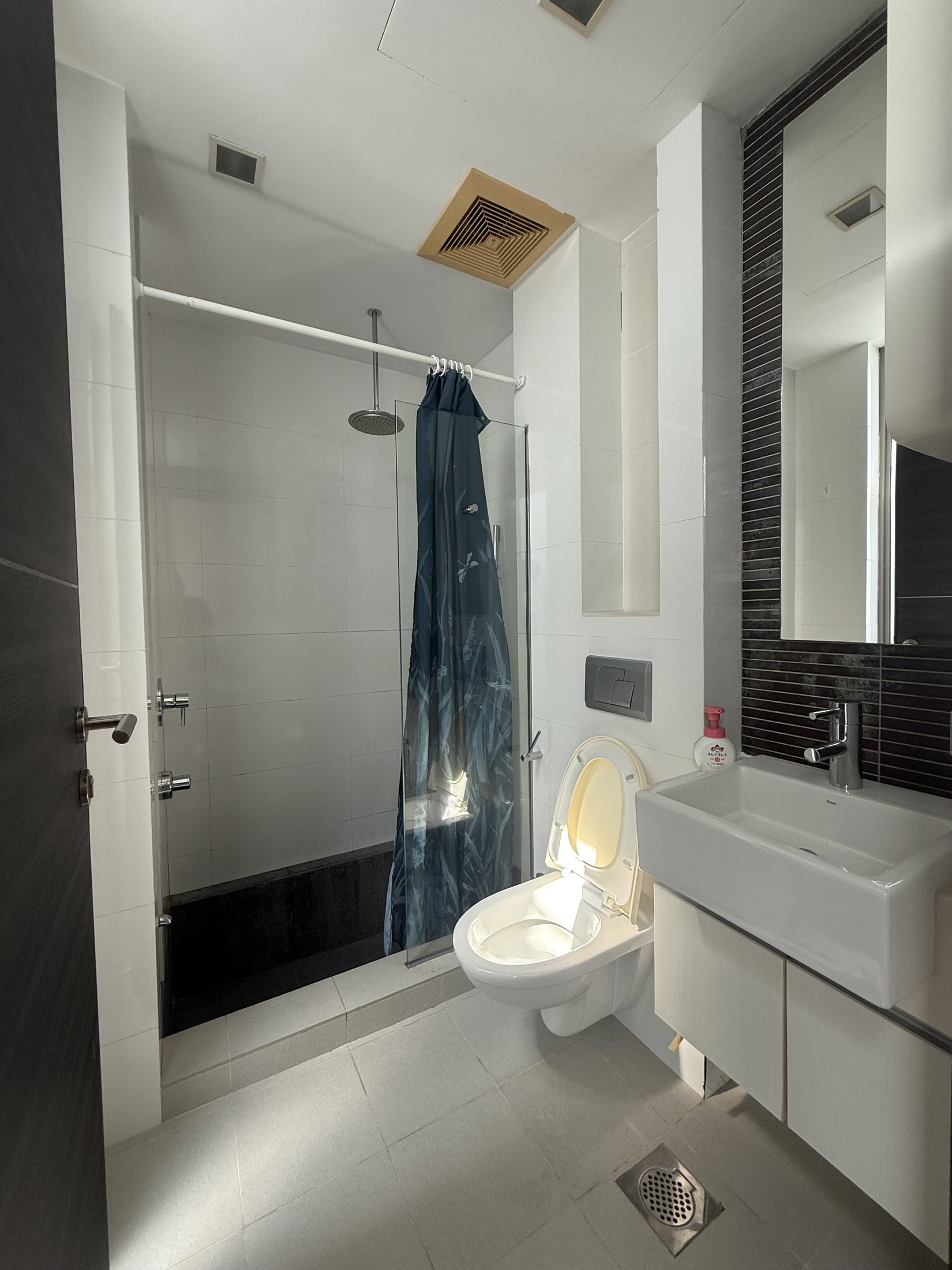Robertson Edge penthouse bathroom