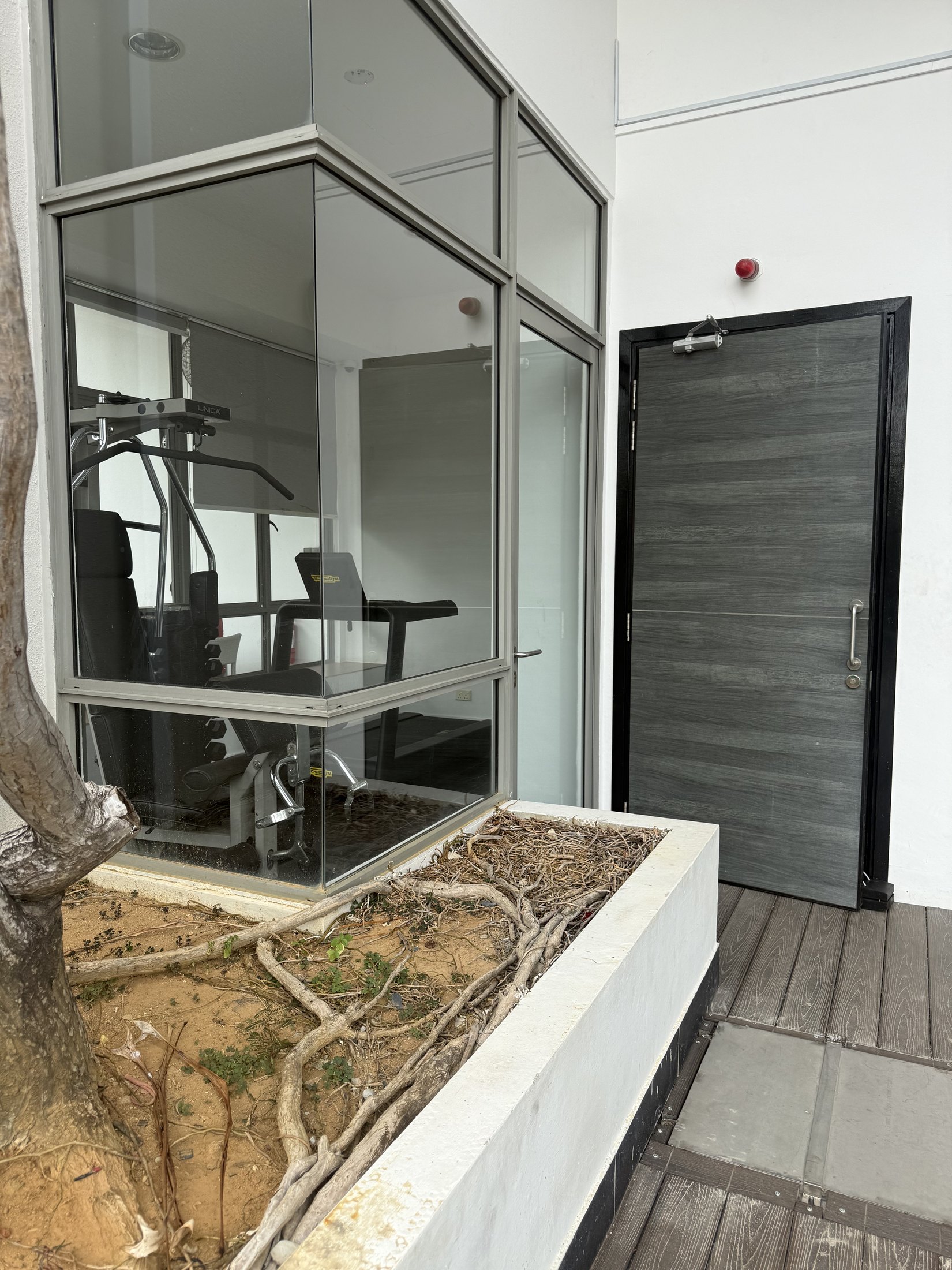 Robertson Edge penthouse roof garden and outdoor planter area