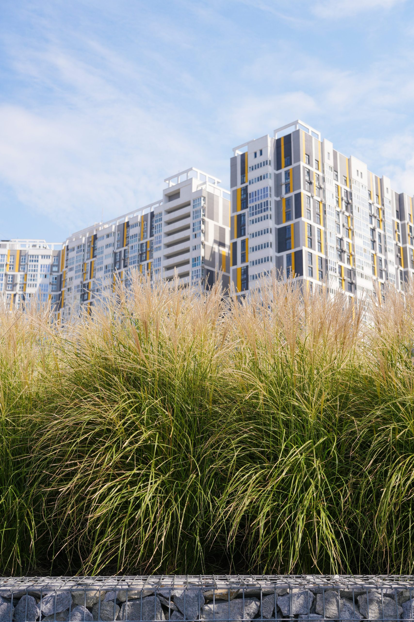 Urban greenery and residential buildings representing family-friendly living near parks in Singapore